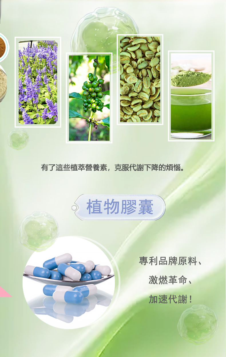 InMARCH茵瑪奇-M1毛喉鞘蕊花燃脂膠囊