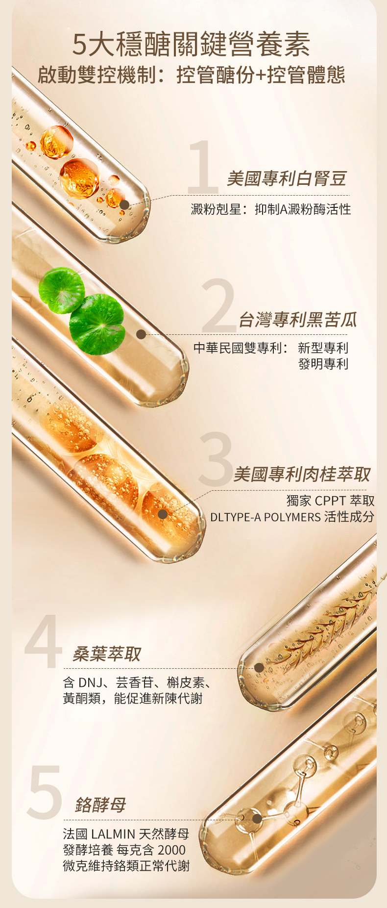 InMARCH茵瑪奇-美國專利白腎豆肉桂M3穩醣膠囊
