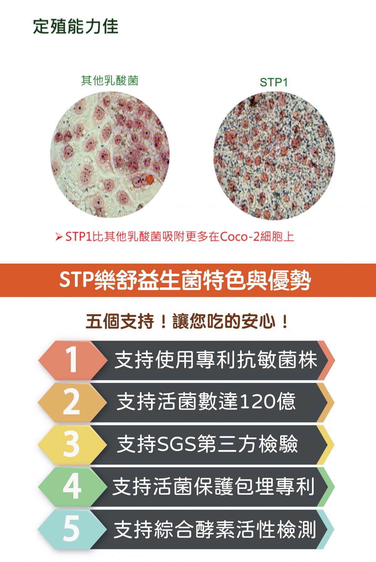 InMARCH茵瑪奇-STP樂舒酵素益生菌