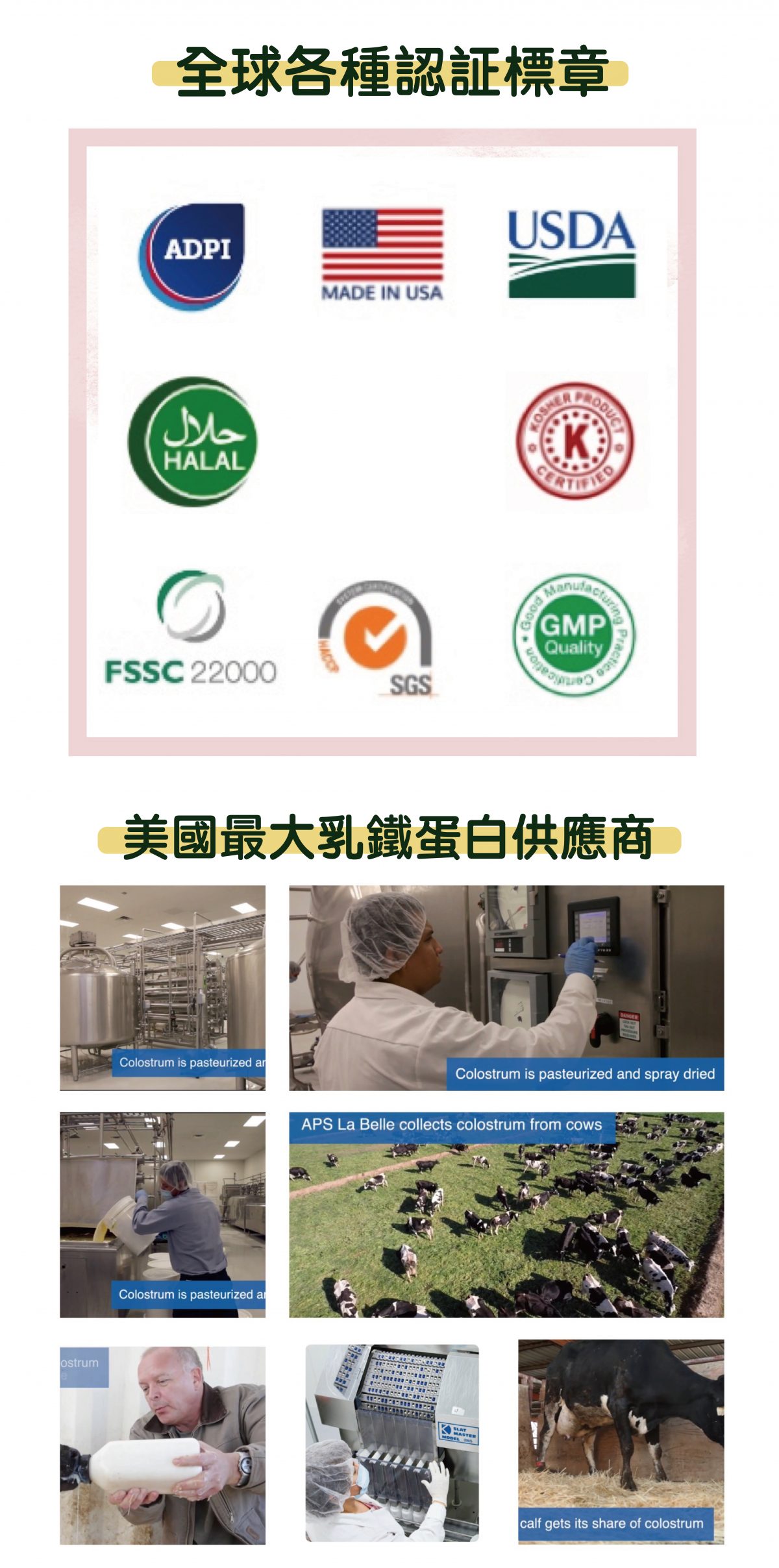 InMARCH茵瑪奇-天天好壯