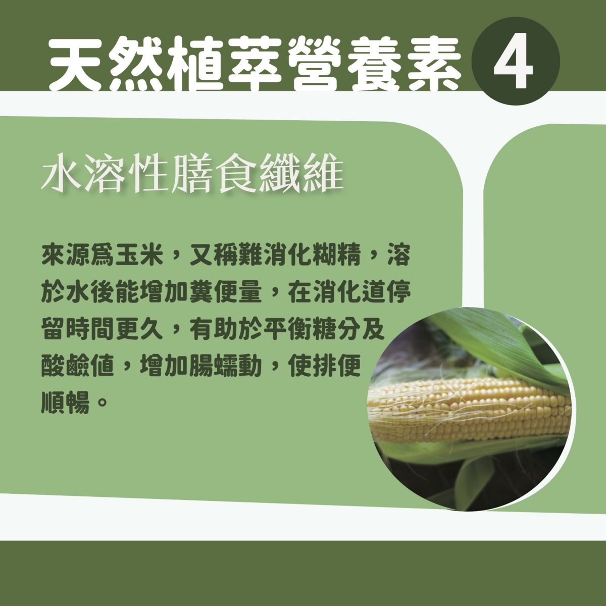 【InMarch茵瑪奇】西印度櫻桃接骨木莓維生素C