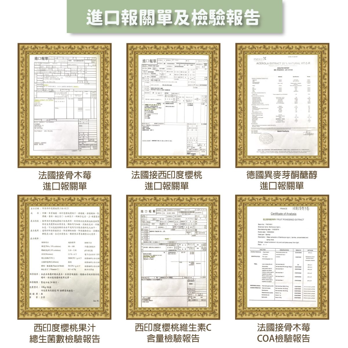 【InMarch茵瑪奇】西印度櫻桃接骨木莓維生素C