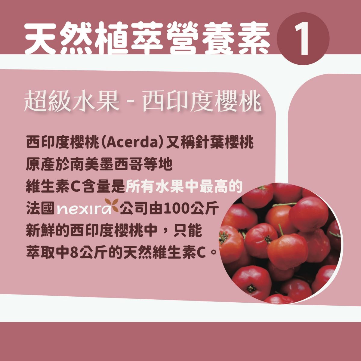 【InMarch茵瑪奇】西印度櫻桃接骨木莓維生素C
