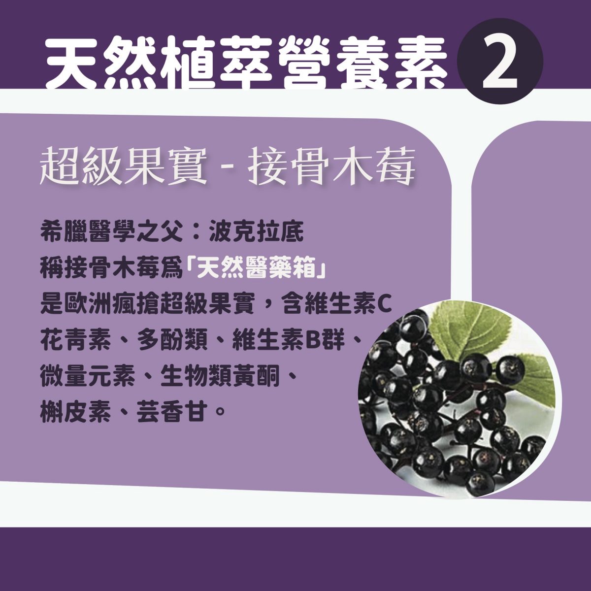 【InMarch茵瑪奇】西印度櫻桃接骨木莓維生素C