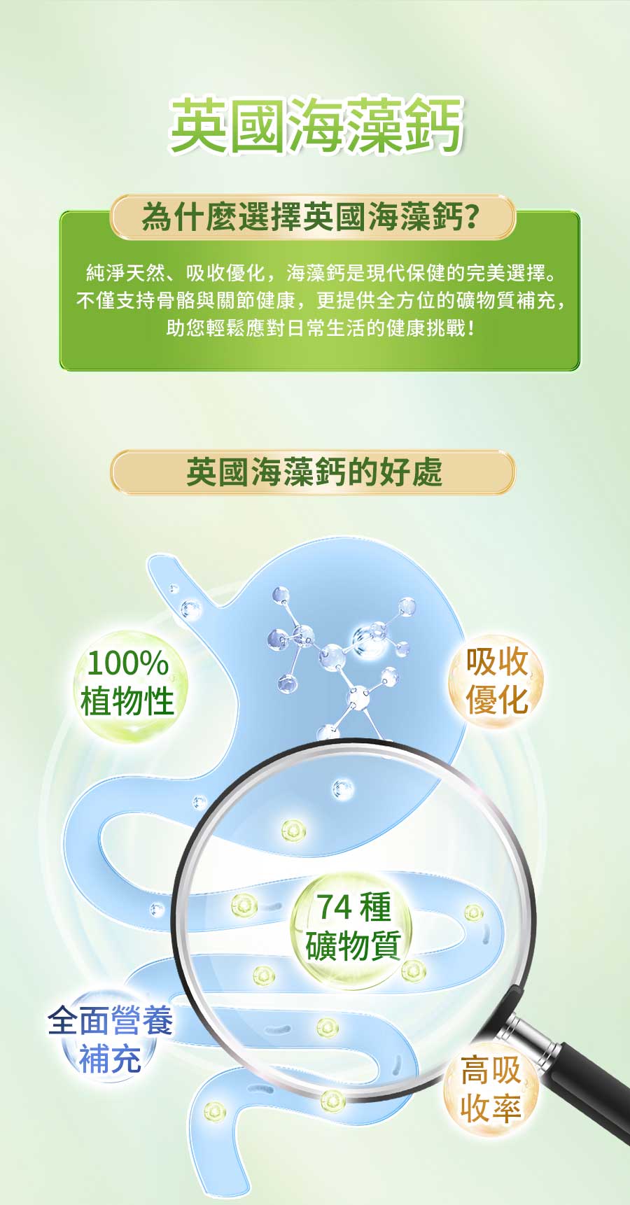InMARCH茵瑪奇-鈣鎂原力