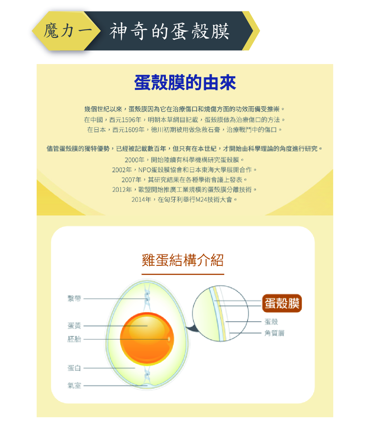 InMARCH茵瑪奇-骨膜力蛋殼膜膠囊