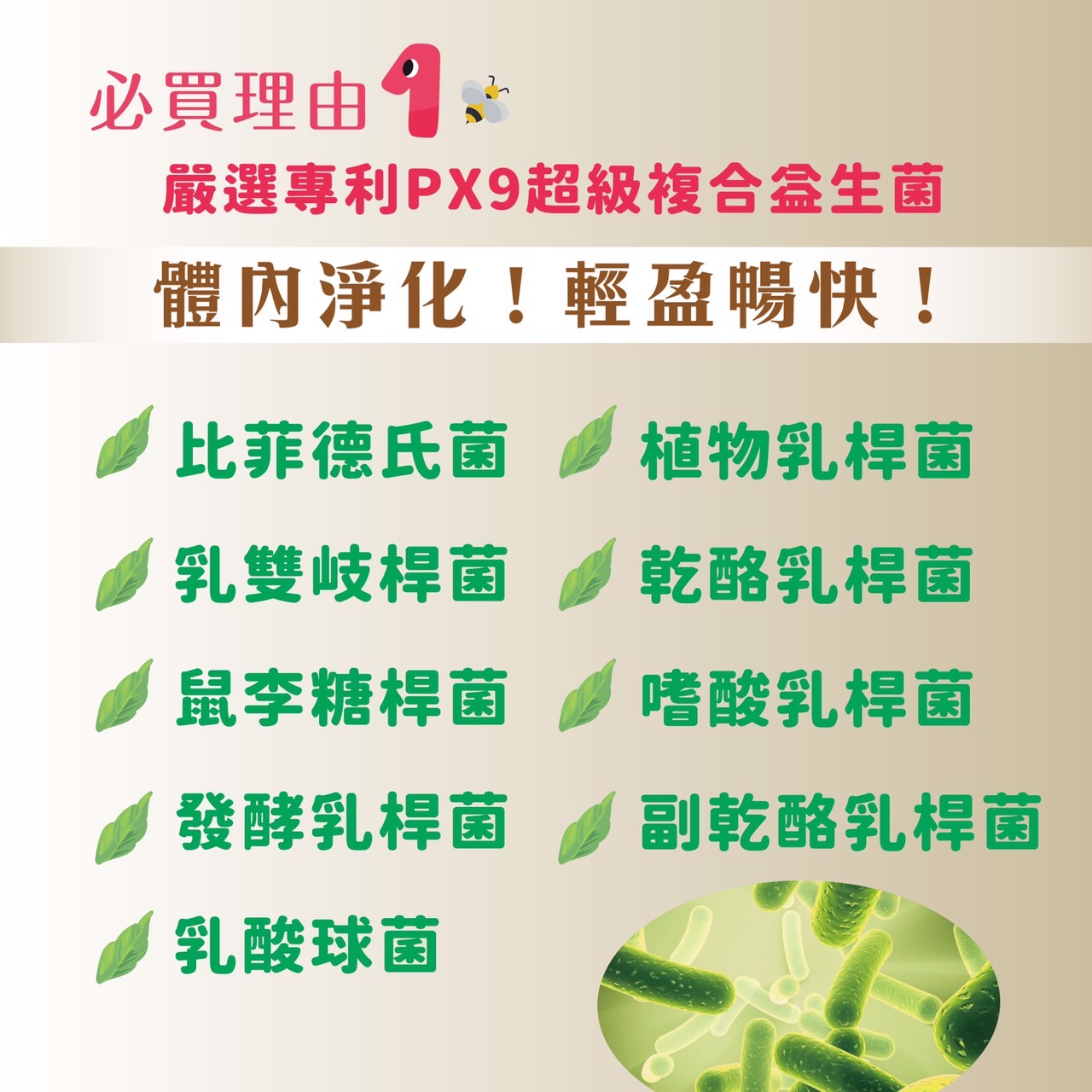 InMARCH茵瑪奇-鳳梨酵素蜂蜜九聯益生菌
