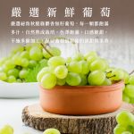 【胖大師】葡萄半月燒x3盒：圖片 3