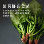 【胖大師】鹹燻雞派x10入(125g/入)：圖片 4