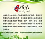 【樟威嚴選】牛樟菇牙膏x5入(120g/支)：圖片 12