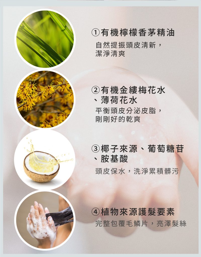 2024檸檬香茅洗髮精04