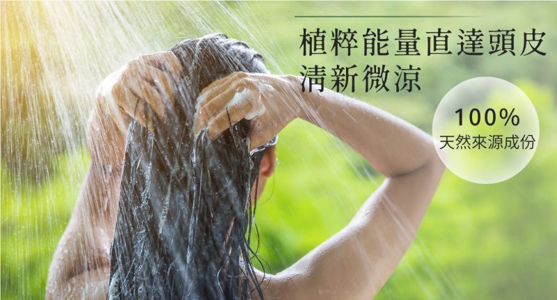 2024茶樹洗髮精03