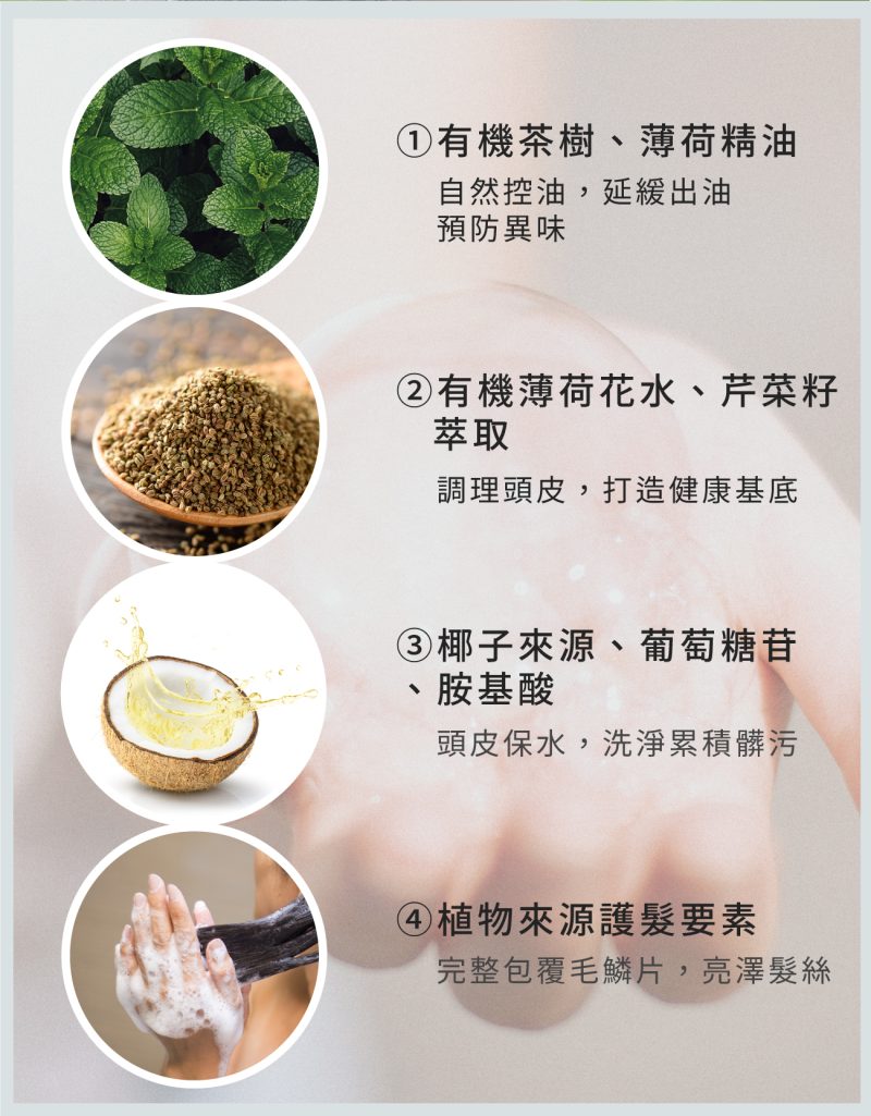 2024茶樹洗髮精04