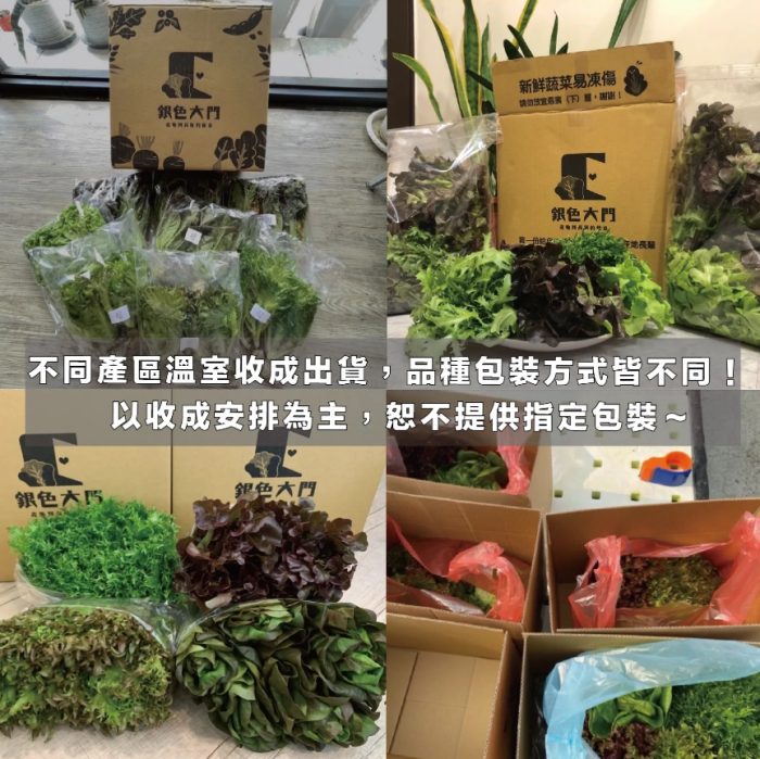 【銀色大門】綜合水耕無毒生菜箱 2000g低溫免運（適合沙拉、烤肉、露營、綠拿鐵等清爽料理，無農藥施用安心清洗，大口脆爽生食）：圖片 10