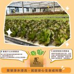 【銀色大門】綜合水耕無毒生菜箱 2000g低溫免運（適合沙拉、烤肉、露營、綠拿鐵等清爽料理，無農藥施用安心清洗，大口脆爽生食）：圖片 9