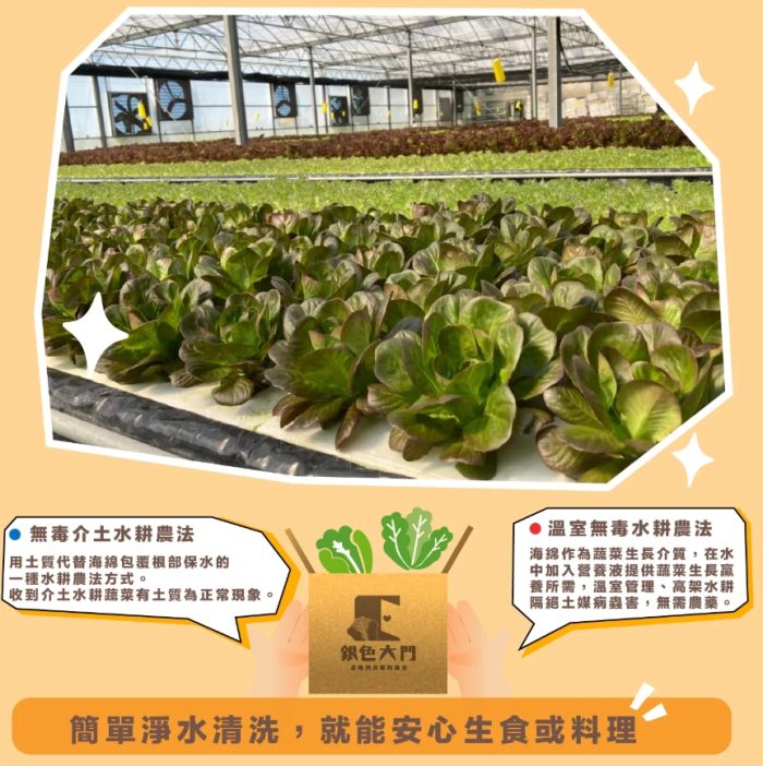 【銀色大門】綜合水耕無毒生菜箱 2000g低溫免運（適合沙拉、烤肉、露營、綠拿鐵等清爽料理，無農藥施用安心清洗，大口脆爽生食）：圖片 9