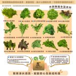 【銀色大門】綜合水耕無毒生菜箱 2000g低溫免運（適合沙拉、烤肉、露營、綠拿鐵等清爽料理，無農藥施用安心清洗，大口脆爽生食）：圖片 2