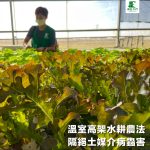 【銀色大門】綜合水耕無毒生菜箱 2000g低溫免運（適合沙拉、烤肉、露營、綠拿鐵等清爽料理，無農藥施用安心清洗，大口脆爽生食）：圖片 4