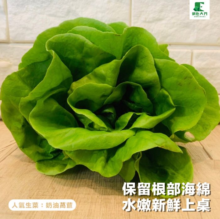 【銀色大門】綜合水耕無毒生菜箱 2000g低溫免運（適合沙拉、烤肉、露營、綠拿鐵等清爽料理，無農藥施用安心清洗，大口脆爽生食）：圖片 5