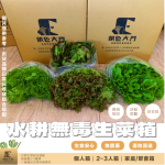 【銀色大門】綜合水耕無毒生菜箱 2000g低溫免運（適合沙拉、烤肉、露營、綠拿鐵等清爽料理，無農藥施用安心清洗，大口脆爽生食）